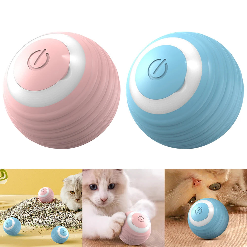 Katzenball